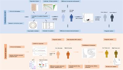 Identification of immune activation-related gene signature for predicting prognosis and immunotherapy efficacy in lung adenocarcinoma